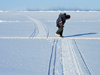 ice tracks shift