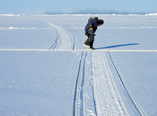 ice tracks shift