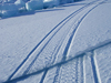 Sea ice cracks