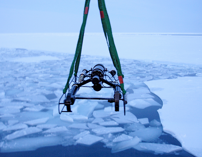 Video Plankton Recorder in the Arctic