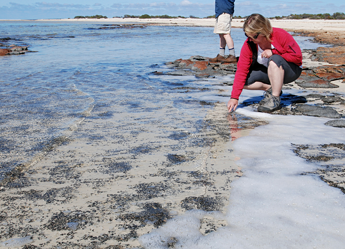 Ginny Edgcomb at shoreline in Australia