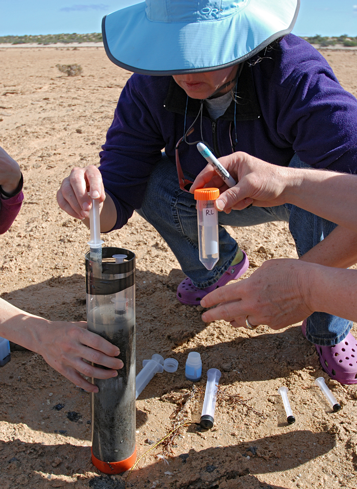 Joan Bernhard preparing sediment sample