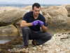 Chris Reddy, a marine chemist at the Woods Hole Oceanographic Institution, examines and collects oil-covered rocks at Nyes Neck in West Falmouth, Mass.