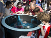 cambridge science festival
