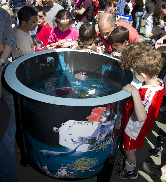 cambridge science festival