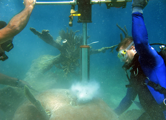 Divers drill a coral core
