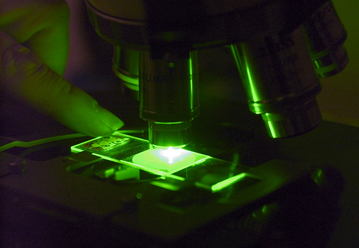 microscope slide under a fluorescence microscope