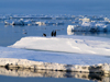 antarctic scenery