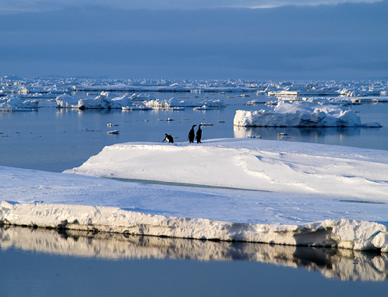 antarctic scenery