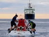 Recovery of Alvin