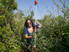 SSF Leah Fine in the weeds