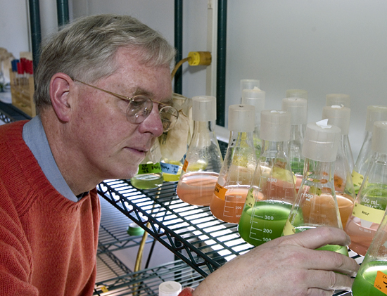 Dr. John Waterbury looking at phytoplankton samples in his lab.