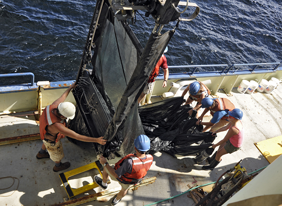 zooplankton, net, towing