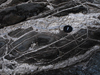 rock in an ophiolite