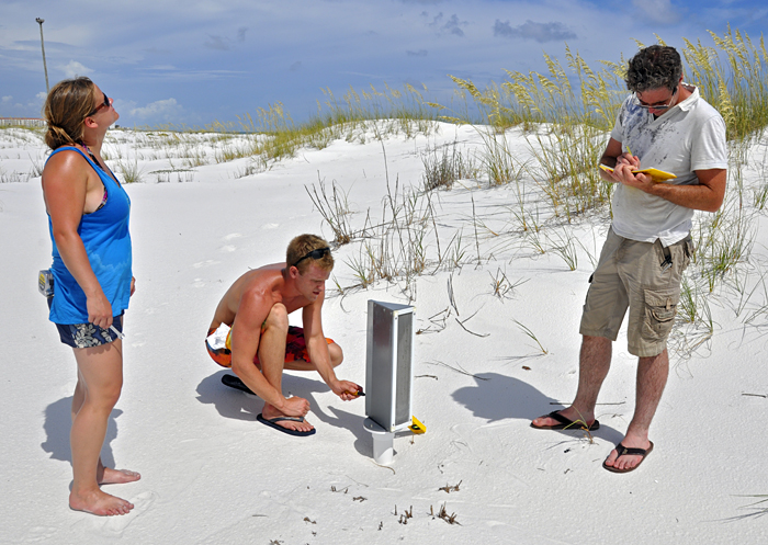 Wind-blown sediment traps