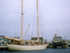 el austral and lulu