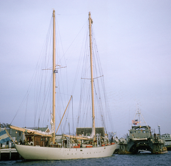 el austral and lulu