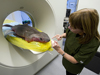 Shark scan