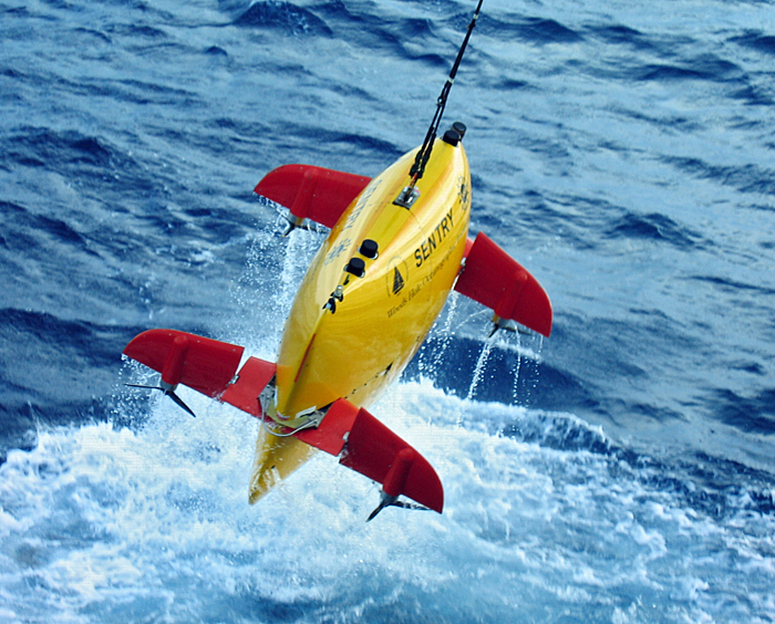 Sentry in the Gulf of Mexico