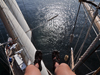 View from the Top