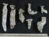 fiddler crab casts