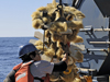 Daniel Bogorff cleaning biofouling off an instrument