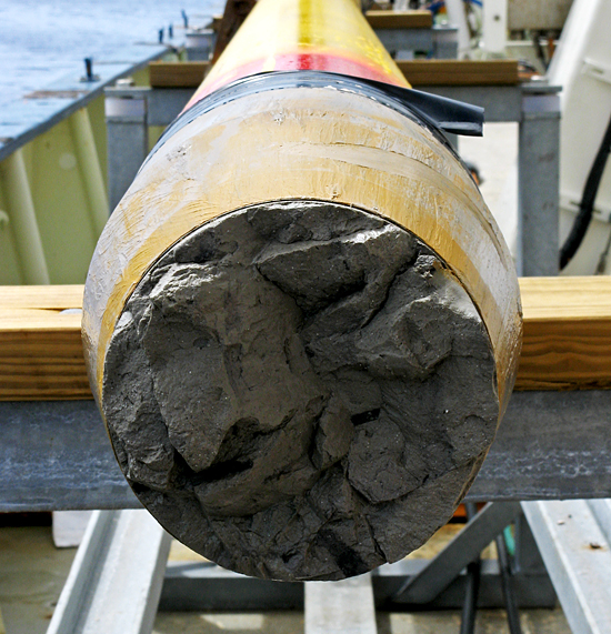 long core with full head