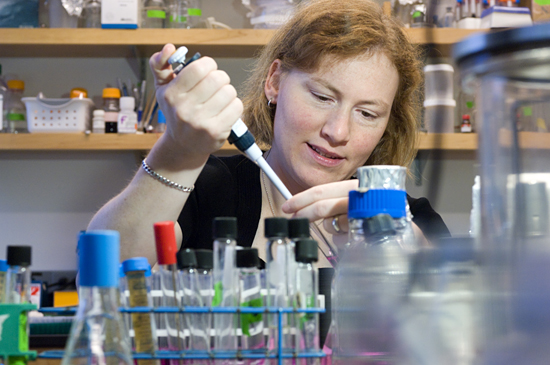 Biogeochemist Karen Casciotti