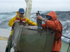 Justin Ossolinski and Ben van Mooy working on deck of Oceanus.
