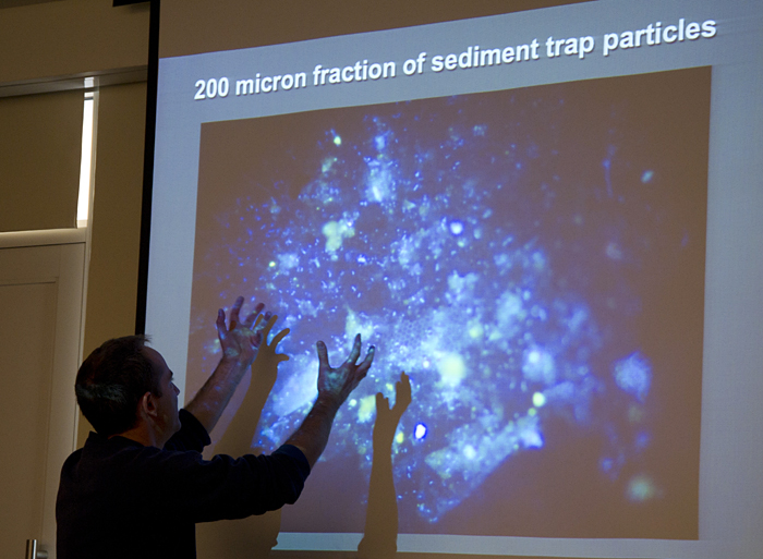 Tracy Mincer and image of DAPI-labeled particle