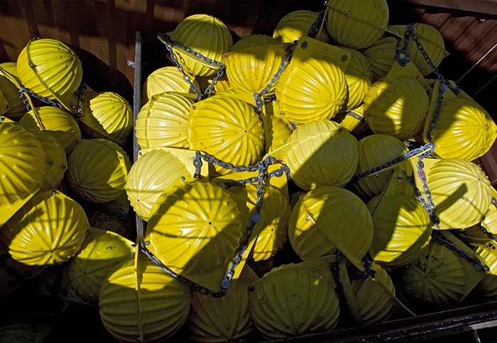 Hard hats
