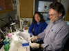 Hahn and Franks studying genetic resistance of fish to PCBs