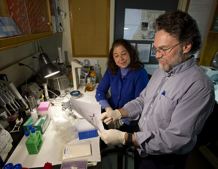 Hahn and Franks studying genetic resistance of fish to PCBs