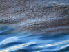 Oil and water in the Gulf