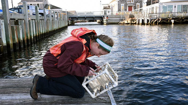 whoi news stories whoi news stories