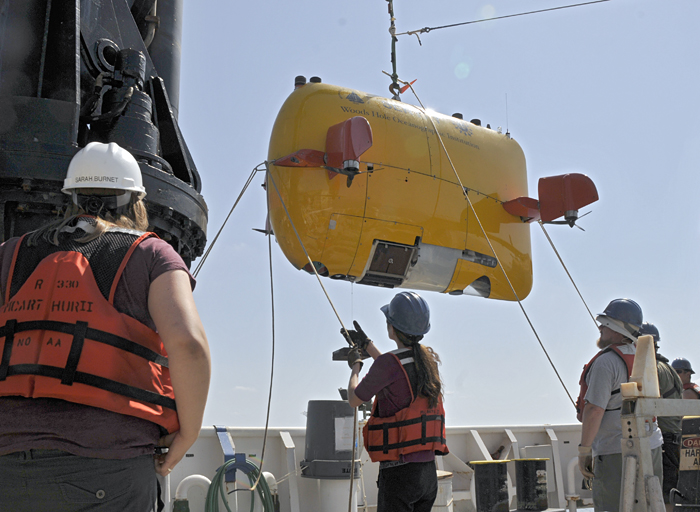 Sentry deployment in the Gulf of Mexico