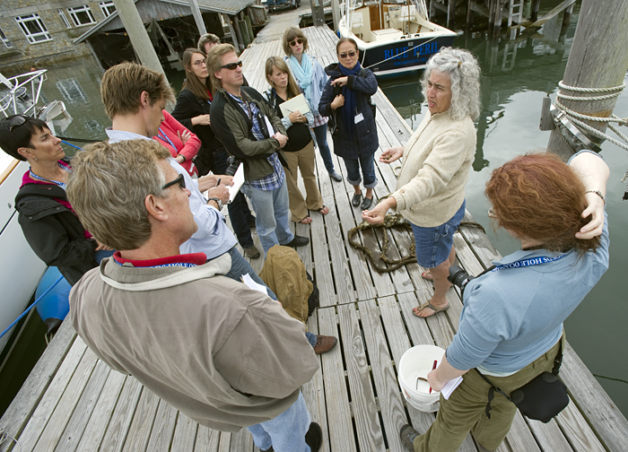 ocean science journalism fellows