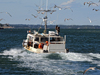 Fishing boat leaves Chatham Harbor
