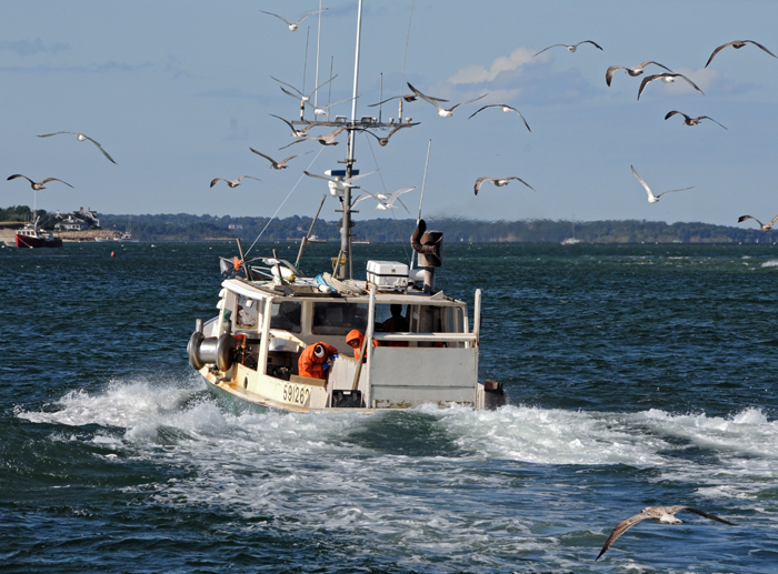 Fishing boat leaves Chatham Harbor