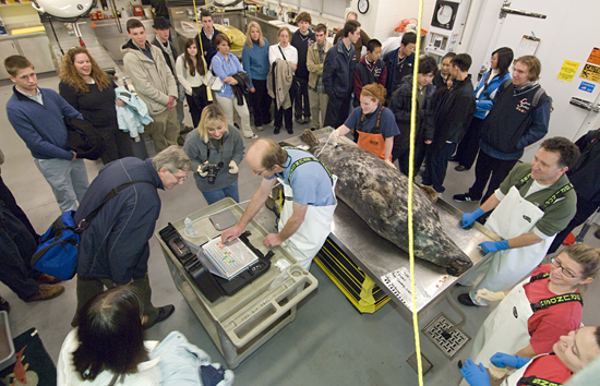 National Science Bowl teams visit WHOI