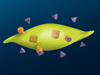 Vitamin B12 claw