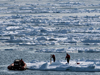 Sampling ice algae