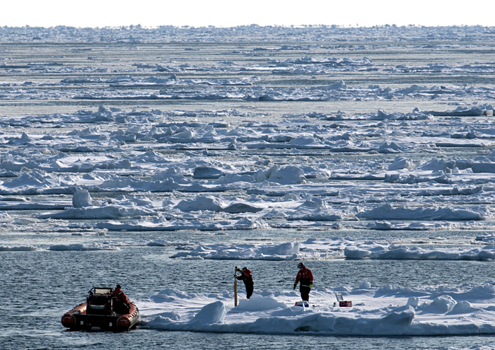 Sampling ice algae