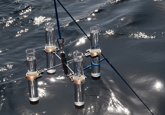 sediment traps