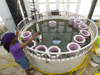 Pep student studies lobster larva response to water temperature