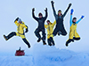 Jumping for joy in the Southern Ocean