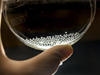 Fertilized fish eggs.