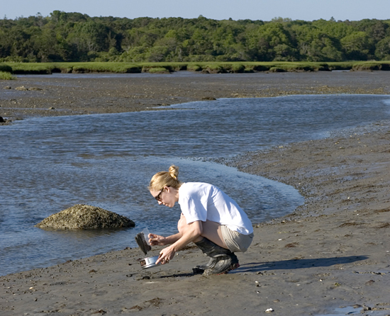 Joint Program graduate Carly Strasser collects samples.