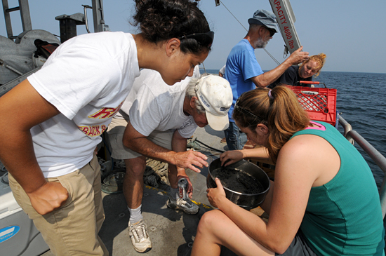 Summer Student Fellow Tioga Cruise