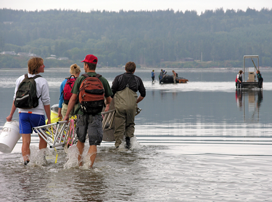 skagit tidal flats fieldwork